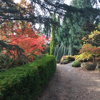 Warran Glen Garden & Cafe - Cafes Near Me - Warrandyte, VIC