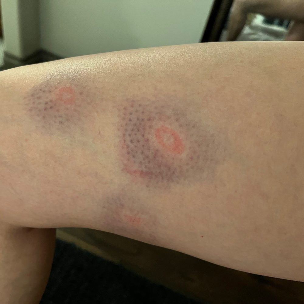 Jungle Island - Owwwwww so painful!! - Paintball Near Me - Lake Elsinore, California Jungle Island - Owwwwww so painful!! - Paintball Near Me - Lake Elsinore, California