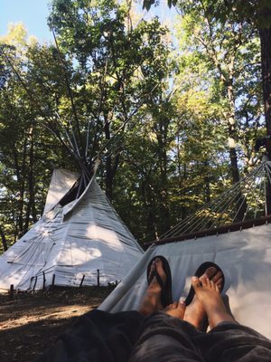 Magic Forest Farm by null