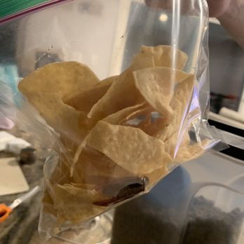 Chronic Tacos - The dead roach we found from chronic tacos when we were saving our leftovers - Mexican Near Me - Irvine, California