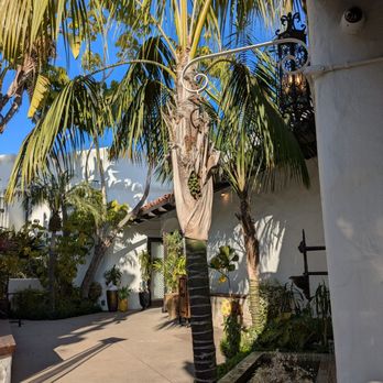 Alejandra's Mexican Cantina - Entrance - Mexican Near Me - Carlsbad, California Alejandra's Mexican Cantina - Entrance - Mexican Near Me - Carlsbad, California