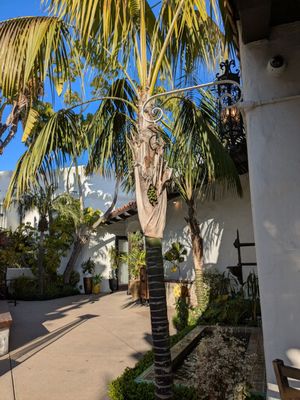 Alejandra's Mexican Cantina by null