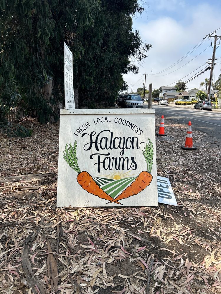 HALCYON FARMS Updated August 2024 133 Photos & 53 Reviews 1075