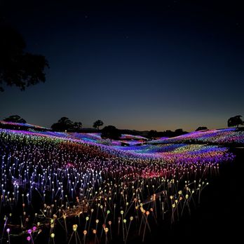 Sensorio - Art Galleries Near Me - Paso Robles, California