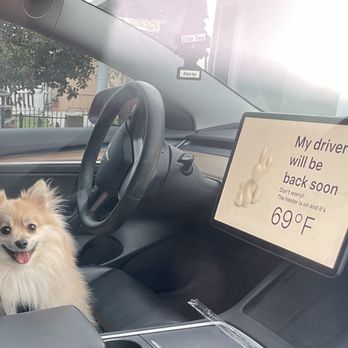 Tesla - Car Dealers Near Me - Bellevue, Washington