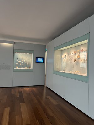 Archaeological Museum of Asturias by null