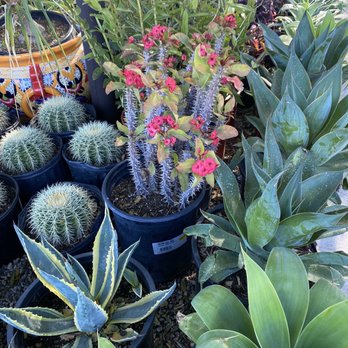 Armstrong Garden Centers - Nurseries & Gardening Near Me - Thousand Oaks, California Armstrong Garden Centers - Nurseries & Gardening Near Me - Thousand Oaks, California