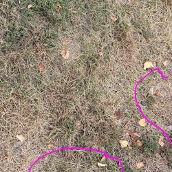 Blackwell Island Rv Park - Trashy sites!!!