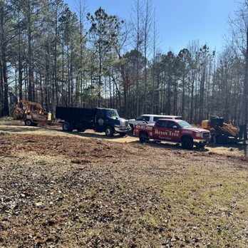 Reyes Tree Service - Tree Services Near Me Reyes Tree Service - Tree Services Near Me