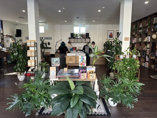 De La Playa Records & Leisure by null