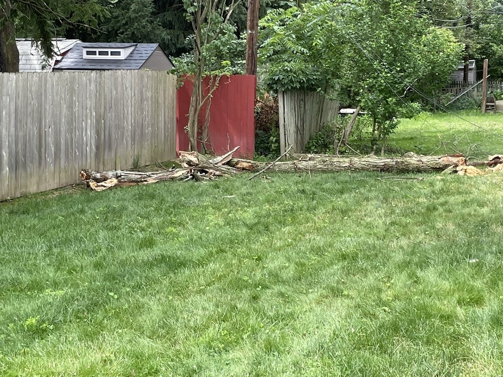 Emery Tree Service of PA - tree service in Saltsburg, PA