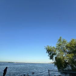 Walter E Long Park - Lago