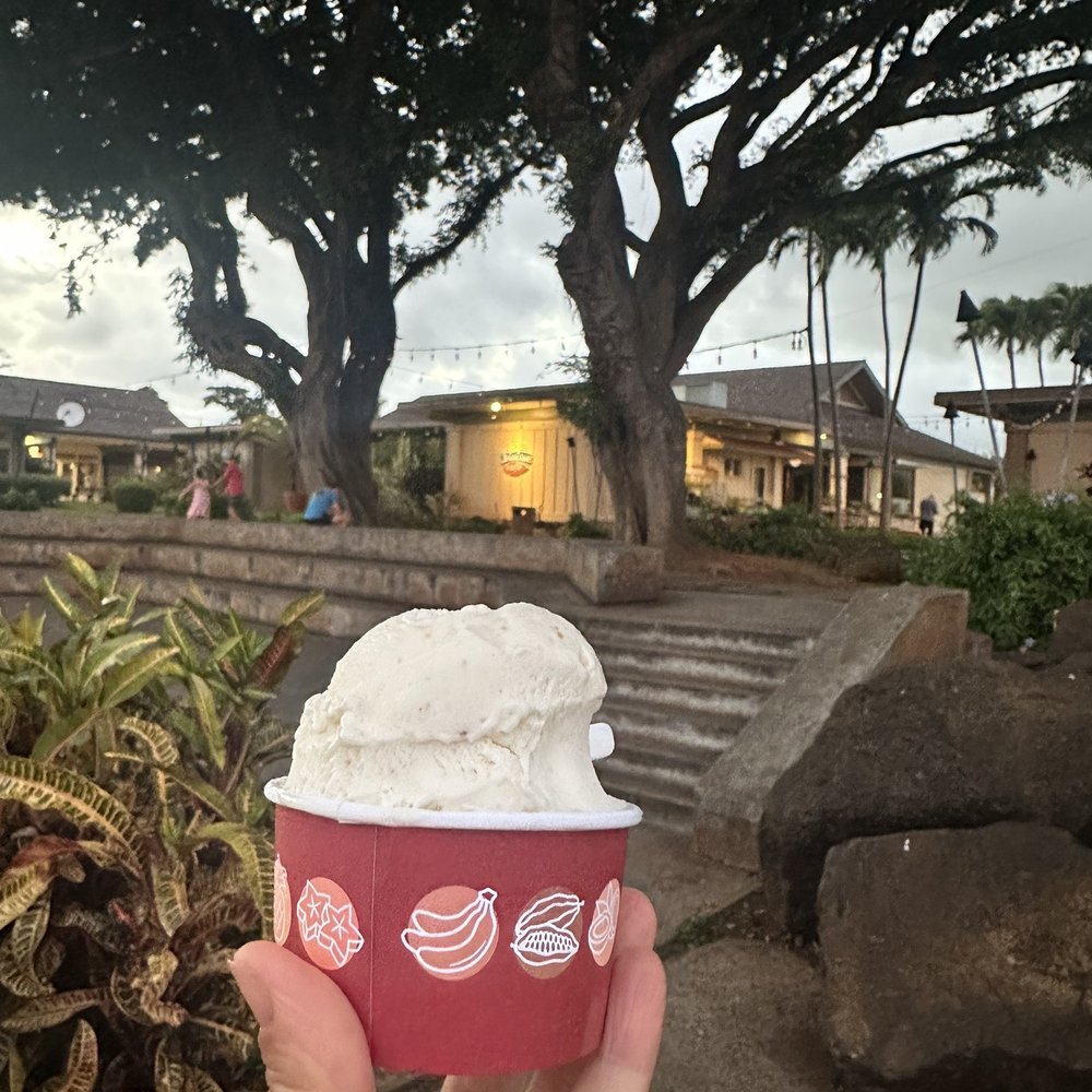 Papalani Gelato - Macadamia Nut - Ice Cream & Frozen Yogurt Near Me - Koloa, Hawaii Papalani Gelato - Macadamia Nut - Ice Cream & Frozen Yogurt Near Me - Koloa, Hawaii
