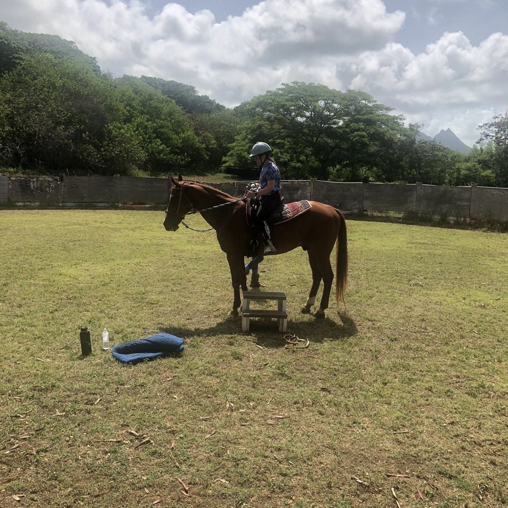 Aloha Riding Lessons - Horseback Riding Near Me - Honolulu, Hawaii Aloha Riding Lessons - Horseback Riding Near Me - Honolulu, Hawaii