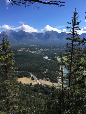 Tunnel Mountain Trail by null