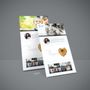 Photo of DBWebs