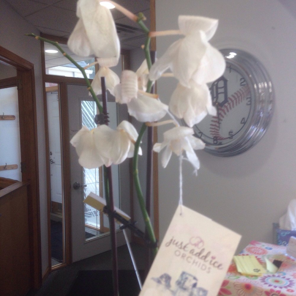 My drooping orchids with lots of missing petals. 5 days after delivery.