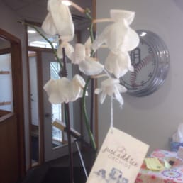 My drooping orchids with lots of missing petals. 5 days after delivery.