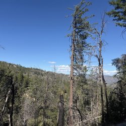 Whiskeytown Falls