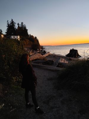 Lighthouse Park by null