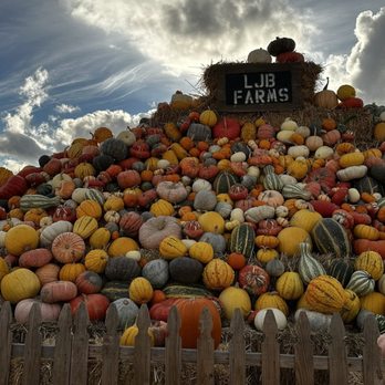 LJB Farms - Grocery Near Me - San Martin, California