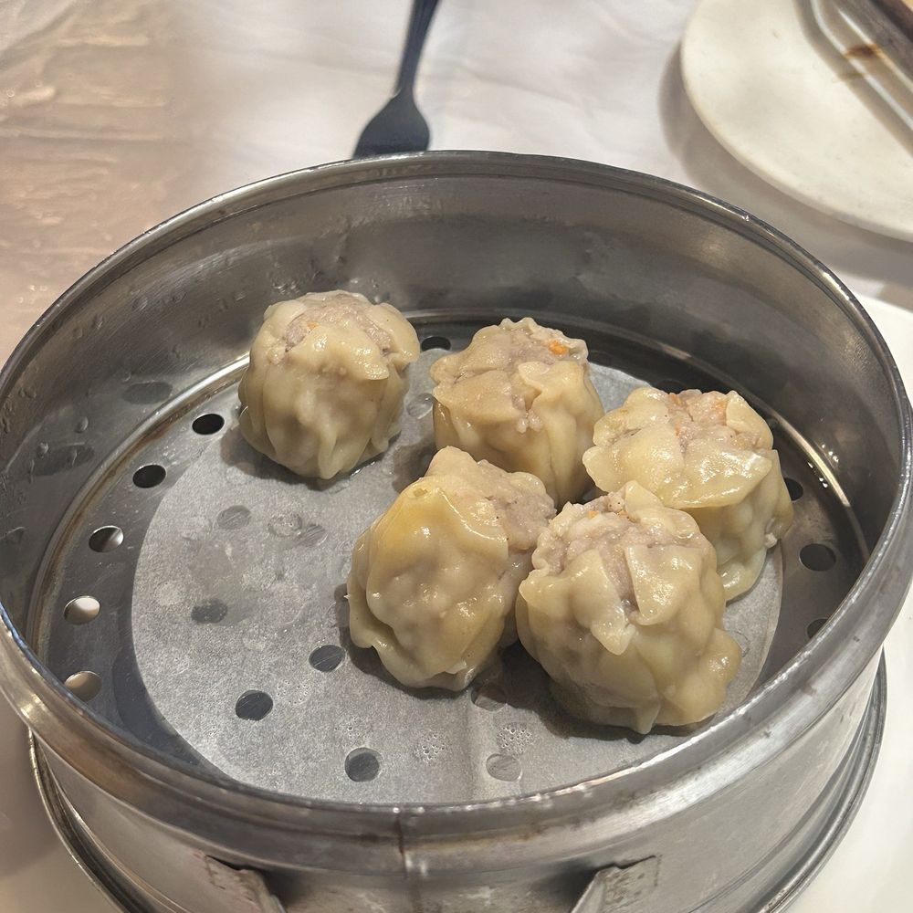 Tiger Noodle House - Pork and shrimp Shu Mai - Szechuan Near Me - Houston, Texas Tiger Noodle House - Pork and shrimp Shu Mai - Szechuan Near Me - Houston, Texas