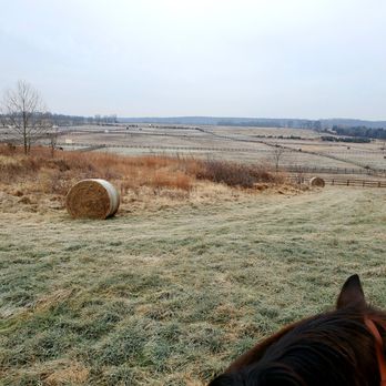 River Chase Farm - Horseback Riding Near Me - Aldie, Virginia
