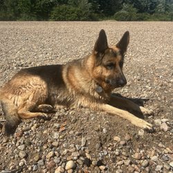 Eastern Slope Camping Area - Pooped