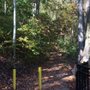 Photo of Collier Cove Nature Preserve
