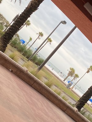 "We the Pizza" Clearwater beach by null