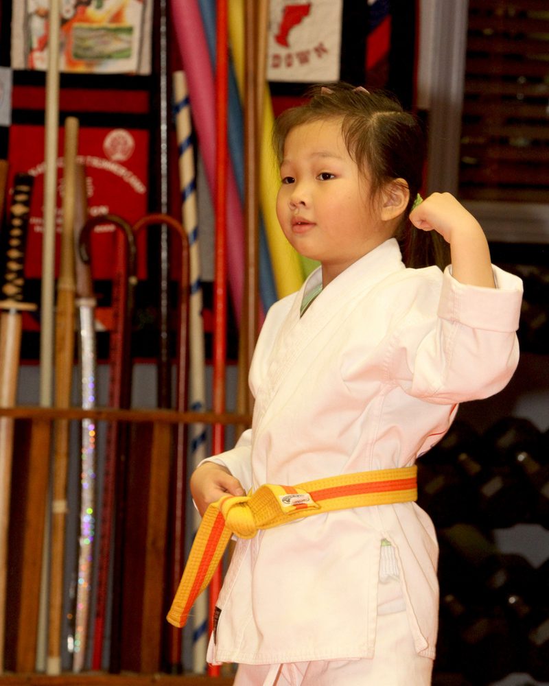 Texas Tang Soo Do Logo