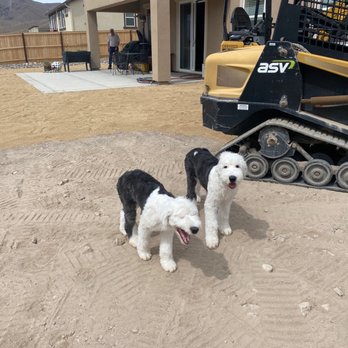 Premium Lawn & Landscapes - Satisfied users of trail - Landscaping Near Me - Sparks, Nevada Premium Lawn & Landscapes - Satisfied users of trail - Landscaping Near Me - Sparks, Nevada