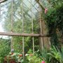 Photo of East Ruston Old Vicarage Gardens
