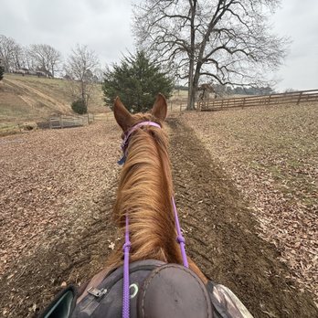 Natchez Trace Stables - Trail - Horseback Riding Near Me - Primm Springs, Tennessee Natchez Trace Stables - Trail - Horseback Riding Near Me - Primm Springs, Tennessee
