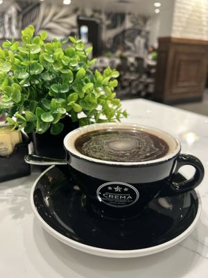 Crema Gourmet by null