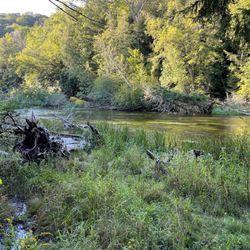 Platte River State Forest Campground - Must be the Platte River