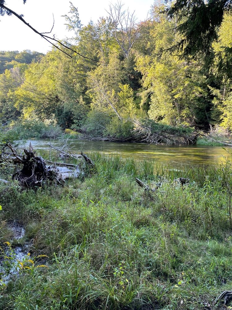 PLATTE RIVER STATE FOREST CAMPGROUND Updated June 2024 13062 Goose