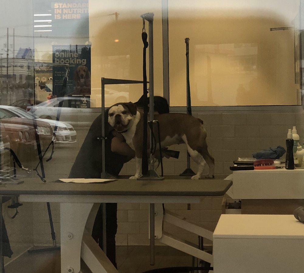 PETCO Pet Stores 700 Crescent Blvd, Brooklawn, NJ Phone Number Yelp