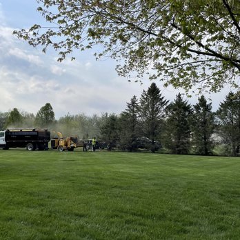 Norris-Koen Tree Service - Tree Services Near Me - Auburn, Illinois Norris-Koen Tree Service - Tree Services Near Me - Auburn, Illinois