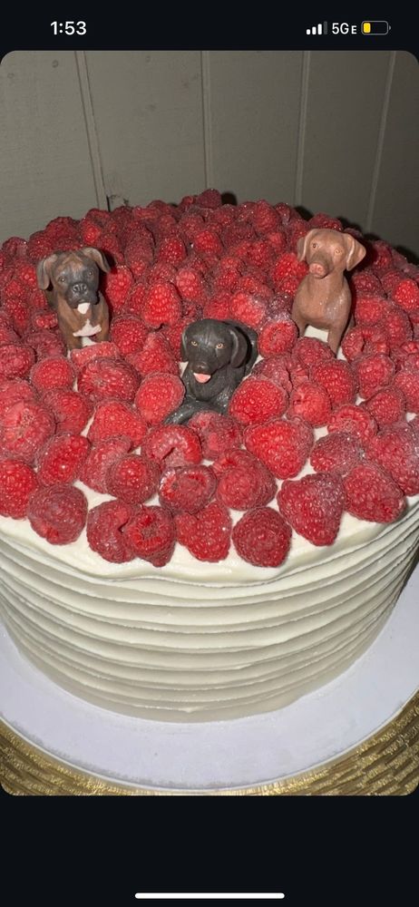 Brighter Daze Farm - equestrian in Newark, IL