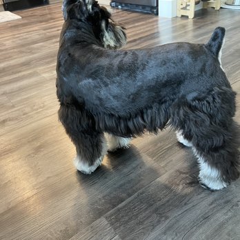 Healthy Spot - Rockridge - Pet Groomers Near Me - Berkeley, California Healthy Spot - Rockridge - Pet Groomers Near Me - Berkeley, California