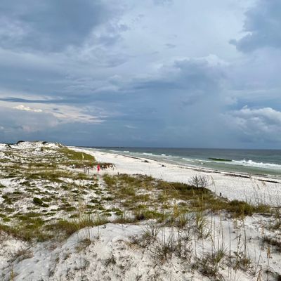 St. Andrews State Park by null