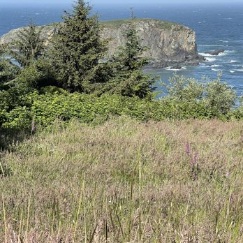 Whaleshead Beach - Whalehead rock - Beaches Near Me - Brookings, Oregon