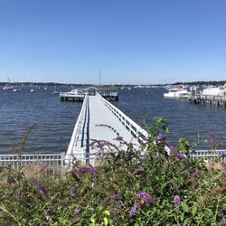 Fathoms Hotel and Marina
