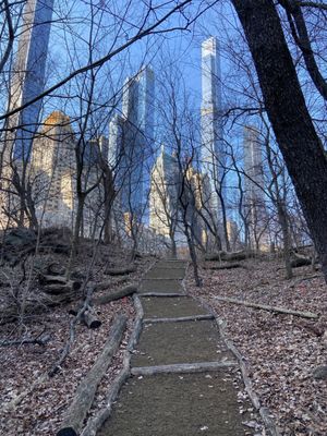 Hallett Nature Sanctuary by null