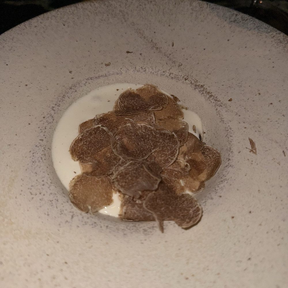 Saga - Mushroom risotto - New American Near Me - New York, New York Saga - Mushroom risotto - New American Near Me - New York, New York