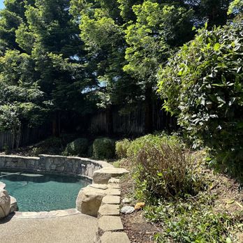 Flores Tree & Landscape - Tree Services Near Me