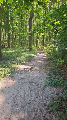 Great Bridge Battlefield & Waterways History Foundation by null