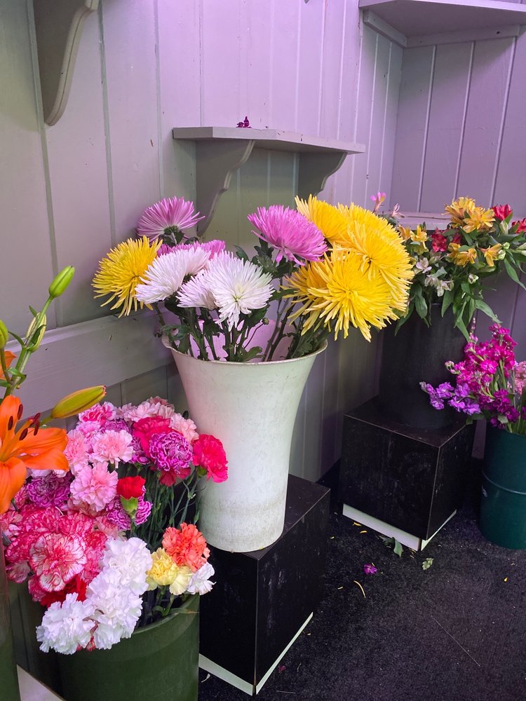 SELDEN FLORIST Updated September 2024 31 Photos & 18 Reviews 1000