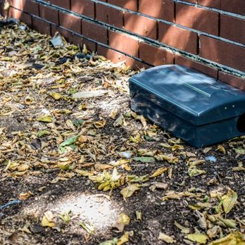 Ocal Rodent Proofing - Precision Pest Trapping Services - Pest Control Near Me - Seattle, Washington Ocal Rodent Proofing - Precision Pest Trapping Services - Pest Control Near Me - Seattle, Washington